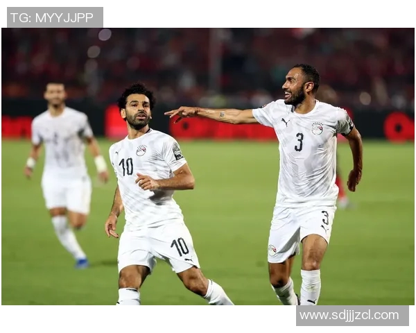 埃及男足球星介绍及精彩表现解析你不可错过的足球偶像